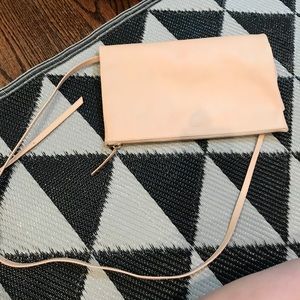 Everlane Clutch / crossbody